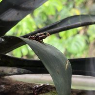 IMG_7461.jpeg