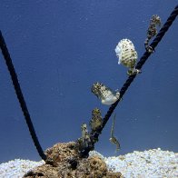 IMG_7447.jpeg