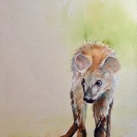 Kruger hyena.JPG