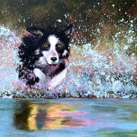 Fetching.jpg