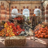 Fruits of autumn 3 halved..jpg