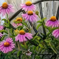 coneflowers and wagonwheel.jpg