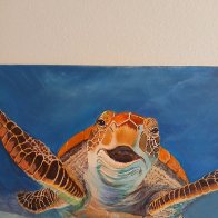 HaPPY TRTLE.jpg