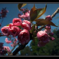 IMG_8689.jpeg