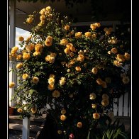 IMG_8685.jpeg