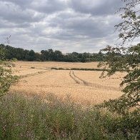 IMG_2715.jpeg
