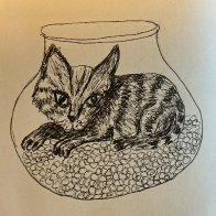 IMG_1639.jpeg