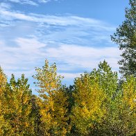 MId-October Palette.jpg