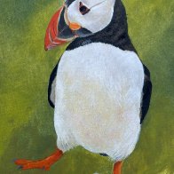 13of30 Puffin.jpg