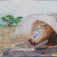 pmplionwatercolor.jpg
