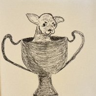 IMG_1655.jpeg