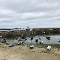 IMG_2935.jpeg