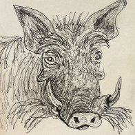 IMG_1673.jpeg