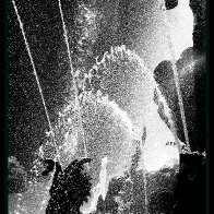 3C5A6949a-001_1.JPG