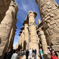 IMG_7286.jpeg
