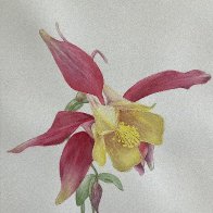 IMG_0541.jpeg