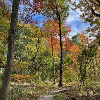 IMG_0353 (1).jpeg