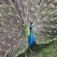 IMG_3768.jpeg
