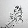 31 - Flex