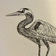 IMG_1682.jpeg