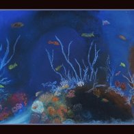 PMPUnderWater 0569CR.jpg