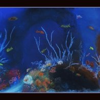 PMPUnderWater 0569CR.jpg