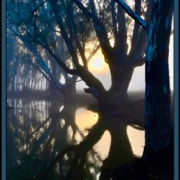 PMP Monthly Challenge