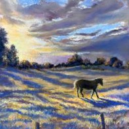 PMP Monthly Challenge