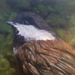 PMP Monthly Challenge