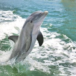 The Art of Photography