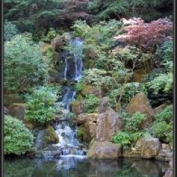 The Art of Photography