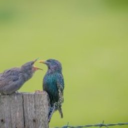 The Art of Photography