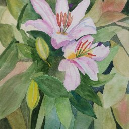 FLOWER  POWER / ANY PLANT LIFE