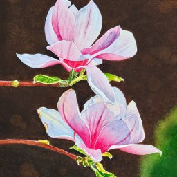 FLOWER  POWER / ANY PLANT LIFE