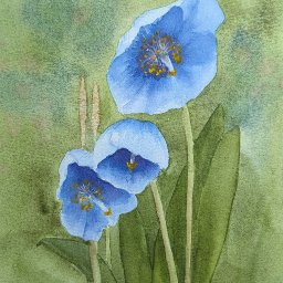 FLOWER  POWER / ANY PLANT LIFE