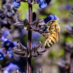 JBroadbentPhotography
