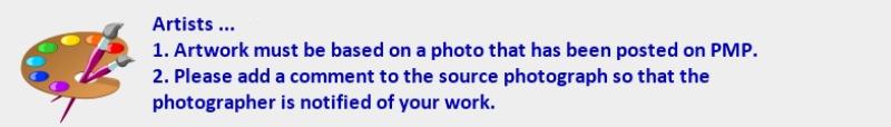 artists note.jpg