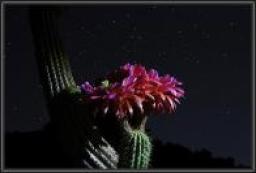 5aa59c87c98e323b85fb6bc6f4c9dc8f.jpg