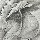 Artemesia