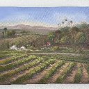 Gina M Wilson Art