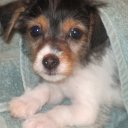 jeannesbutterflykisses@gmail.com