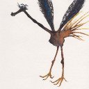 prairiegirl